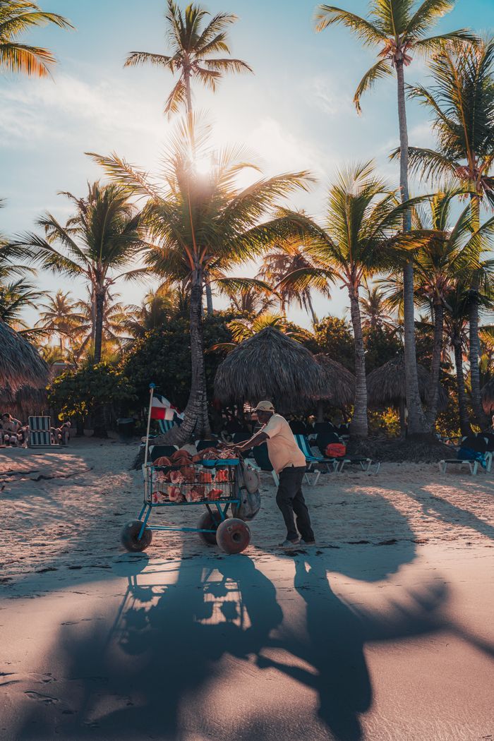 Local vendor pushing a cart on a sunlit beach in Punta Cana, surrounded by palm trees.